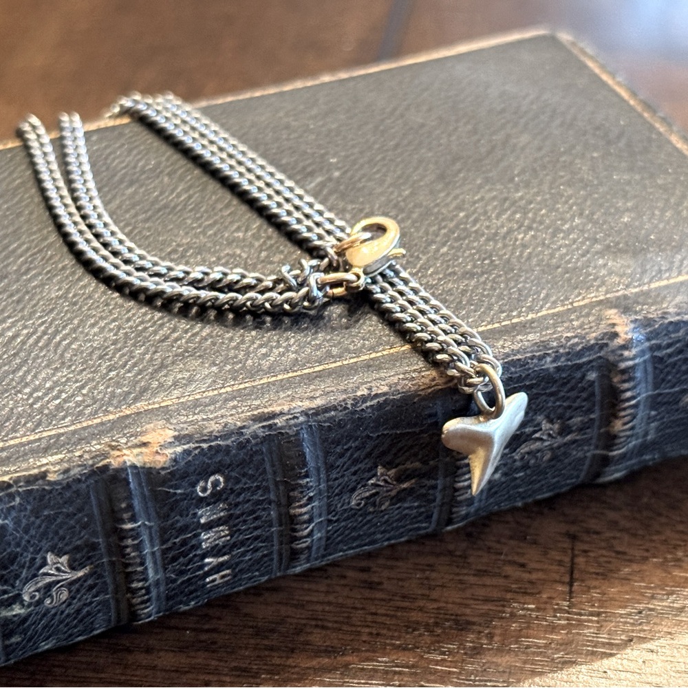 Tiny shark tooth charm choker